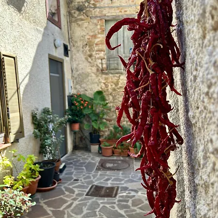 Il Cenerone * بينيتو